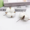Natural dried white cotton heads for Christmas DIY wreath and home decor - Cotton Head With Wire Style / Approx. 4g