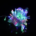 Multicolor LED fairy string lights for outdoor Christmas and wedding festive decoration - 10M 100 LEDs Plug-in / Colorful
