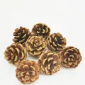 Natural brown dried pine cones set for rustic Christmas DIY and holiday home decoration - Natural Pine / 3-4cm
