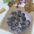 Set of frosted artificial pine cones on a purple display plate for Christmas decor - Large Larch (White Dyed 1.5-2.5cm) / 50 Pieces Set