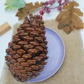Realistic large brown pinecone for Christmas decoration and autumn themed home table crafts - American Pine / 10-12cm