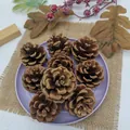 Decorative natural brown artificial pine cones for Christmas holiday home floral arrangements - 3-4cm / 20 Pieces Set / Dark Brown