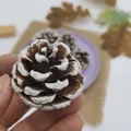 Realistic snow-tipped simulation pine cone for festive Christmas holiday decoration - 3-4cm / 20 Pieces Set / Snowy Dark Brown