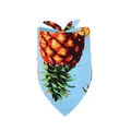 Sky blue cotton dog bandana featuring a vibrant tropical pineapple fruit print - Pineapple Print / Blue