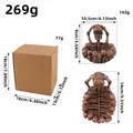 Dark horror Halloween skull ashtray variant with full dimensions and foam packaging info - Brown Skeleton Ashtray (V3-4) / Retro Brown