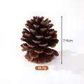 Natural pinecone for Christmas DIY wreath decoration, 7-9cm height and 28.7g weight. - American Pine (7-9cm)