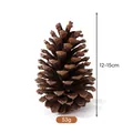 Large natural pinecone for Christmas DIY decoration and wreath crafts, 12-15cm size - American Pine (12-15cm)
