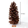 Large natural pine cone measuring 15-18cm for Christmas DIY wreath crafts and decor - American Pine (15-18cm)
