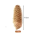 Grande pigna naturale per decorazioni natalizie e artigianato fai da te, lunghezza 9-12 cm - Pino abete (9-12cm)