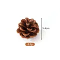 Pigna naturale per decorazioni natalizie fai da te, 3-4cm, peso 8,3g - Pino d'olio (3-4cm)