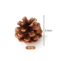 Pigna naturale per decorazioni natalizie fai da te, dimensioni 5-6cm, peso 18.3g. - Pino d'olio (5-6cm)