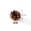 Pigna naturale essiccata per decorazioni natalizie fai da te, dimensioni 3-4 cm, peso 8 g - Pino locale (3-4cm)