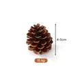 Pigna naturale essiccata per decorazioni natalizie fai da te, dimensioni 4-5 cm e peso 10,6 g. - Pino locale (4-5cm)