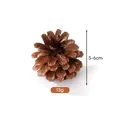 Pigna essiccata naturale per decorazioni natalizie fai da te, misura 5-6 cm e peso 13 g - Pino locale (A2-4) / 5-6cm / Colore legno naturale