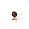 Mini pigna naturale per artigianato natalizio fai-da-te, dimensioni 1-2 cm e peso di 1,3 g - Fiore di pino (A1-4) / 1-2CM / Colore legno naturale