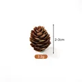 Pigna naturale essiccata accessorio fai-da-te misura 2-3cm peso 2,2g - Fiore di pino (A1-5) / 2-3cm / Colore legno naturale