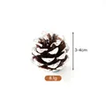 Pigna naturale con punte innevate per decorazioni natalizie fai da te, misura 3-4cm - Pino d'olio (A2-10) / 3-4cm / Punte Innevate