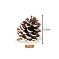 Pigna naturale con punte bianche per decorazioni natalizie fai da te, misura 5-6cm - Pino d'olio (A2-12) / 5-6cm / Punte Innevate