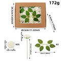 Set mit 25 weißen PE-Schaumrosen in Geschenkbox mit detaillierten Maßen und technischen Daten - 25 Stück/Packung / Weiß