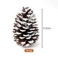 Pigna naturale innevata per decorazioni natalizie fai-da-te, dimensioni 9-12cm totali - Pino americano (A1-14) / 9-12cm / Punte Innevate