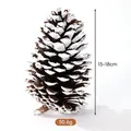 Grande pigna naturale con punte innevate per decorazioni natalizie fai da te, 15-18 cm. - Pino americano (A1-16) / 15-18cm / Punte Innevate