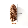 Pigna naturale da 6-8 cm per decorazioni natalizie e ghirlande fai-da-te, 8,8 g - Pino abete (A1-2) / 6-8CM / Colore legno naturale