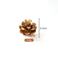 Piccola pigna naturale dorata per decorazioni natalizie fai da te, dimensione 2-3cm - Pino d'olio (A2-26) / 2-3cm / Oro