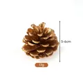 Pigna naturale dorata per decorazioni natalizie fai da te, misura 5-6 cm e peso 17 g. - Pino d'olio (A2-29) / 5-6cm / Oro