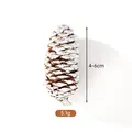 Pigna naturale con punte bianche, 4-6cm per decorazioni natalizie fai da te - Abete con punte bianche (4-6cm)