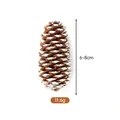 Pigna naturale marrone con punte bianche per decorazioni natalizie, 6-8 cm e 11,6 g - Abete con punte bianche (6-8cm)