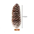 Pigna di pino naturale essiccata per decorazioni natalizie, taglia 9-12cm, peso 15g - Abete con punte bianche (9-12cm)