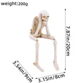 Detailed Halloween resin skeleton figurine sitting ornament with dimensions, 200g - Hear No Evil Skeleton (K2-14)