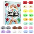 Calendrier de l'Avent Mystery Dumpling Squishy avec 24 jouets anti-stress colorés en surprise - Style Baozi 01