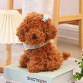 Adorable brown curly-haired poodle plush toy puppy doll sitting on decorative books - Brown / 23cm