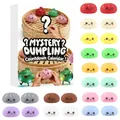 Jouets squishy dumpling mystère dans un calendrier de compte à rebours de 24 jours - Style Baozi 03