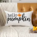 Gemütlicher weißer Kissenbezug mit Hello Pumpkin Stickerei für den Herbst - Hello Pumpkin Text Stil (Style-7) / 30x50cm (Nur Bezug)