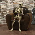 Realistisch levensgroot Halloween-skelet zittend in een vintage bruine fauteuil decoratie - Medium Full Body Skelet Geest (90CM)