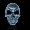 Silver metallic skull warrior tactical full face mask for Halloween and CS games - One Size / Silver