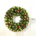 50cm LED lighted Christmas wreath with pine cones and red berries - LED Christmas Wreath (HH2501) / 50cm
