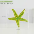 Creative green glitter starfish Christmas tree ornament shown with size dimensions - Starfish Style (E507063) / Green