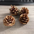 Set van vier natuurlijke gedroogde dennenappels voor kerstdecoratie en DIY - 3-4CM (Ongeveer 120 stuks/kg) / Natuurlijke houtkleur