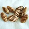 Natural dried pine cone ornaments for rustic holiday crafts and Christmas home decor. - Spruce Pine / 46cm / Brown