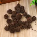Natural dried sweetgum fruit pods for rustic Christmas home decor ornaments - Sweetgum Fruit (A1-18) / 2-3cm / Brown