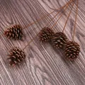 Pigne naturali marroni decorative con gambi lunghi per composizioni floreali natalizie - Pigna con Gambo / 3-4cm