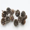 Set di pigne naturali essiccate con steli e punte innevate per decorazioni natalizie festive - Fiore di Pino con Punte Bianche (2-3cm)