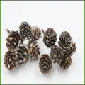 Frostig weiße Dekozapfen für Christbaumschmuck und DIY-Bastelprojekte am Weihnachten - Weiß Bemalte Kieferblume (A2-32) / 2-3cm