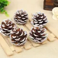 Set aus natürlichen Weihnachtszapfen mit dekorativen weißen Schneespitzen für DIY-Bastelarbeiten - Weiß Bemalte Schwarzkiefer (A2-9) / 2-3cm