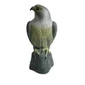 Realistic plastic hawk decoy bird deterrent for garden and outdoor office decoration. - Simulated Eagle