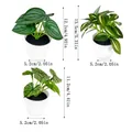Detailed dimensions for three different types of artificial green plants in white pots. - Three-Piece Set / Mixed Style / Green