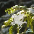 Transparent acrylic winged horse Pegasus ornament hanging on a snowy Christmas tree branch - Pegasus Style (2025)